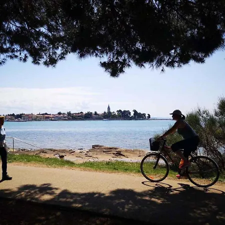 15 Διαμέρισμα Lopar