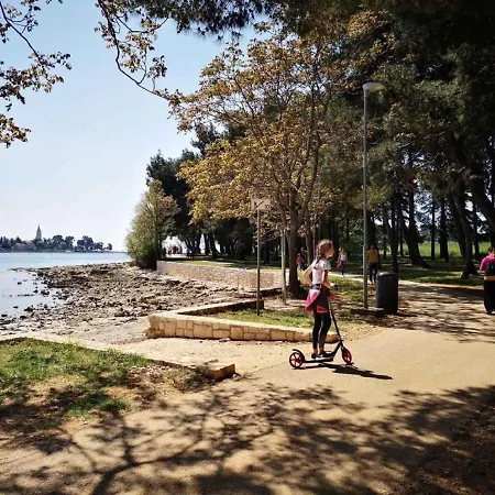 Διαμέρισμα 15