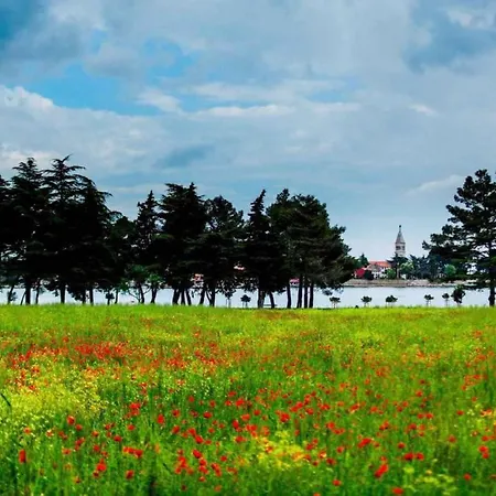 15 Διαμέρισμα